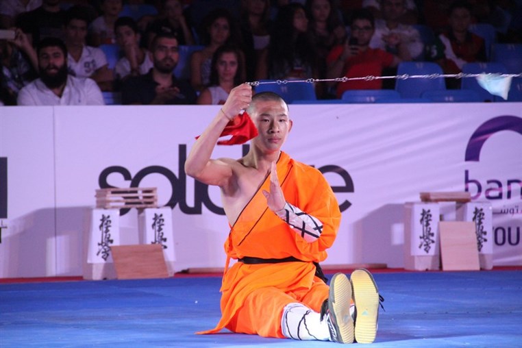 Martial Arts Festival